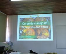 Fiscais da Defesa Sanitária Vegetal da ADAPAR, das URS de Apucarana, Cornélio Procópio, Londrina, Maringá e Paranavaí, participaram de Curso sobre Pinta Preta dos Citros
