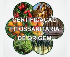 II Semana Integrada de Cursos CFO / CFOC