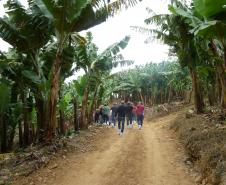 Adapar participa de Congresso Internacional sobre Bananas
