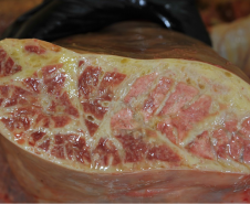 Aspecto de Pulmão de bovino com
Pleuropneumonia Contagiosa Bovina
