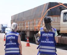 Atuação da Adapar ajuda Paraná a recuperar mercados para a carne