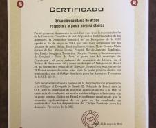 Paraná é reconhecido internacionalmente como área livre de peste suína clássica