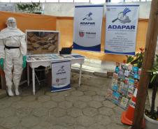 Adapar participa da 23ª Exponkan e 51ª Festa da Laranja em Cerro Azul