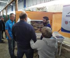 Adapar participa da 23ª Exponkan e 51ª Festa da Laranja em Cerro Azul