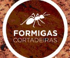 Formigas Cortadeiras: Adapar orienta sobre o combate desta praga
