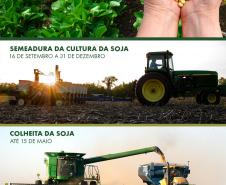 Adapar esclarece os motivos das medidas preventivas para o controle da ferrugem asiática.