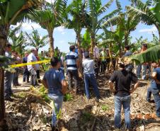 Adapar Promove Dia de Campo sobre Bananicultura em Guaratuba
