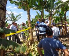 Adapar Promove Dia de Campo sobre Bananicultura em Guaratuba