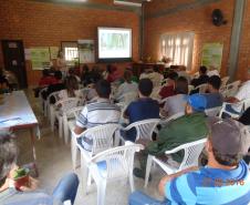 Adapar Promove Dia de Campo sobre Bananicultura em Guaratuba