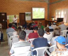Adapar Promove Dia de Campo sobre Bananicultura em Guaratuba