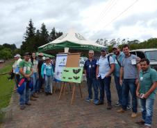 Dia de Campo em Irati