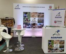 Adapar participa do IV Workshop Sindiavipar em Foz do Iguaçu