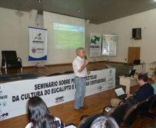 Adapar Realiza Seminários Sobre Pragas do Eucalipto