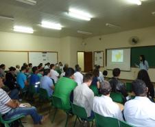 Adapar Realiza Seminários Sobre Pragas do Eucalipto