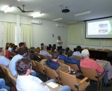 Adapar Realiza Seminários Sobre Pragas do Eucalipto