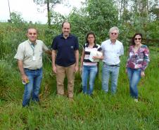 Adapar Participa de Liberação de Inimigo Natural da Praga Vespa-da-Galha do Eucalipto