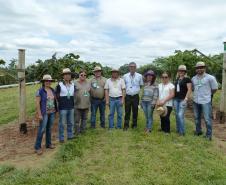 Dia de Campo Sobre a Cultura da Videira em Santa Tereza do Oeste