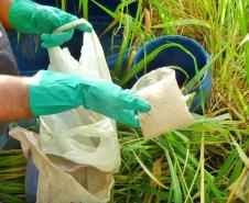 Adapar Alerta Agricultores com Relação aos Agrotóxicos Originados de Contrabando
