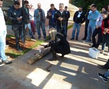 Londrina Sedia Cursos CFO e CFOC Realizados pela Adapar