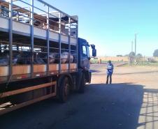Trânsito Agropecuário: Adapar Realizou Barreiras Volantes em Todo Paraná