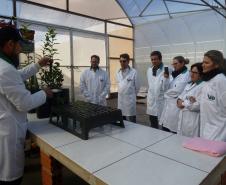 Adapar realiza treinamento para fiscais da Adagro (PE) em sanidade na citricultura