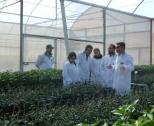 Adapar realiza treinamento para fiscais da Adagro (PE) em sanidade na citricultura