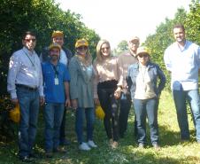 Adapar realiza treinamento para fiscais da Adagro (PE) em sanidade na citricultura