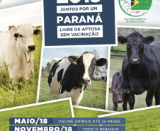 Brasil Rumo a Erradicação da Febre Aftosa