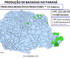 Sanidade Vegetal: Uso de Drones pela Adapar