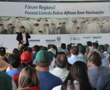 Fórum “Paraná Livre de febre aftosa sem vacinação” em Cornélio Procópio reuniu mais de 700 pessoas