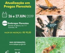 I Curso de atualização em pragas florestais