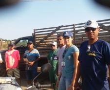 Sanidade dos Suínos: Adapar coopera com o governo de Alagoas nos focos de peste suína clássica