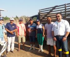 Sanidade dos Suínos: Adapar coopera com o governo de Alagoas nos focos de peste suína clássica