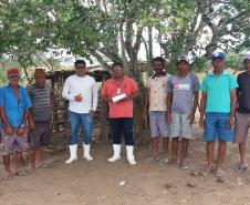 Sanidade dos Suínos: Adapar coopera com o governo de Alagoas nos focos de peste suína clássica