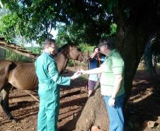 Colheita AIE