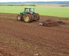 Paraná prorroga prazo para o plantio da soja
