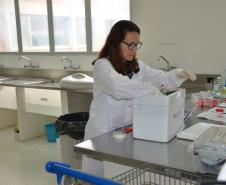 Adapar realiza cerca de 100 mil exames sanitários por ano