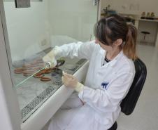 Adapar realiza cerca de 100 mil exames sanitários por ano