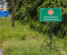 Paraná reforça fiscalização na fronteira com Argentina