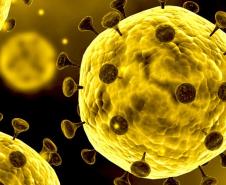 Adapar alerta sobre o Novo Coronavirus