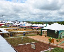 Governo discute sanidade animal no Show Rural