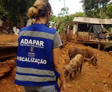 Mesmo em meio à pandemia de Covid-19, a Agência de Defesa Agropecuária do Paraná (Adapar) conseguiu manter seus trabalhos essenciais.