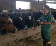 Mesmo em meio à pandemia de Covid-19, a Agência de Defesa Agropecuária do Paraná (Adapar) conseguiu manter seus trabalhos essenciais.