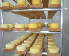 Com esse selo, produtos industrializados coloniais, derivados de carne, leite, pescado, ovos e mel, podem ser vendidos livremente entre os municípios do Estado