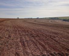 Entre os dias 10 de junho a 10 de setembro acontece o vazio sanitário da soja no Estado, conforme determina a Portaria nº342/2019 da Agência de Defesa Agropecuária do Paraná (Adapar). Nesse período, fica proibido cultivar, manter ou permitir a presença de plantas vivas de soja em qualquer estádio vegetativo