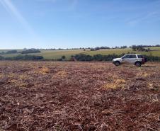 Entre os dias 10 de junho a 10 de setembro acontece o vazio sanitário da soja no Estado, conforme determina a Portaria nº342/2019 da Agência de Defesa Agropecuária do Paraná (Adapar). Nesse período, fica proibido cultivar, manter ou permitir a presença de plantas vivas de soja em qualquer estádio vegetativo.