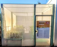 Ações de defesa vegetal garantem segurança alimentar na pandemia 
