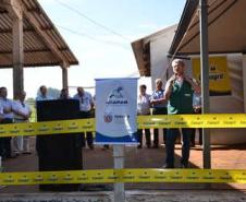 Paraná lança campanha estadual de vacinação contra febre aftosa
