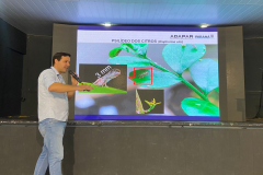 Simpósio na ExpoIngá reforça união de esforços no combate ao greening na citricultura paranaense