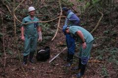 Morcegos e vacinação: ações da Adapar protegem rebanhos e saúde pública contra a raiva